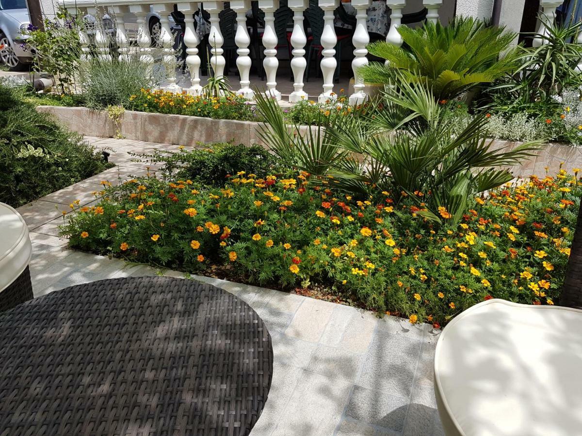 Apartments Vila Leona Пировац Екстериор снимка